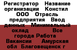 Регистратор › Название организации ­ Констил, ООО › Отрасль предприятия ­ Ввод данных › Минимальный оклад ­ 22 000 - Все города Работа » Вакансии   . Амурская обл.,Благовещенск г.